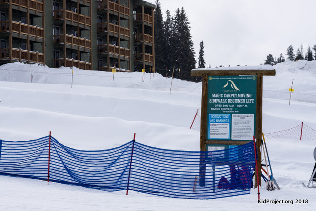 beginners and kids skiing 