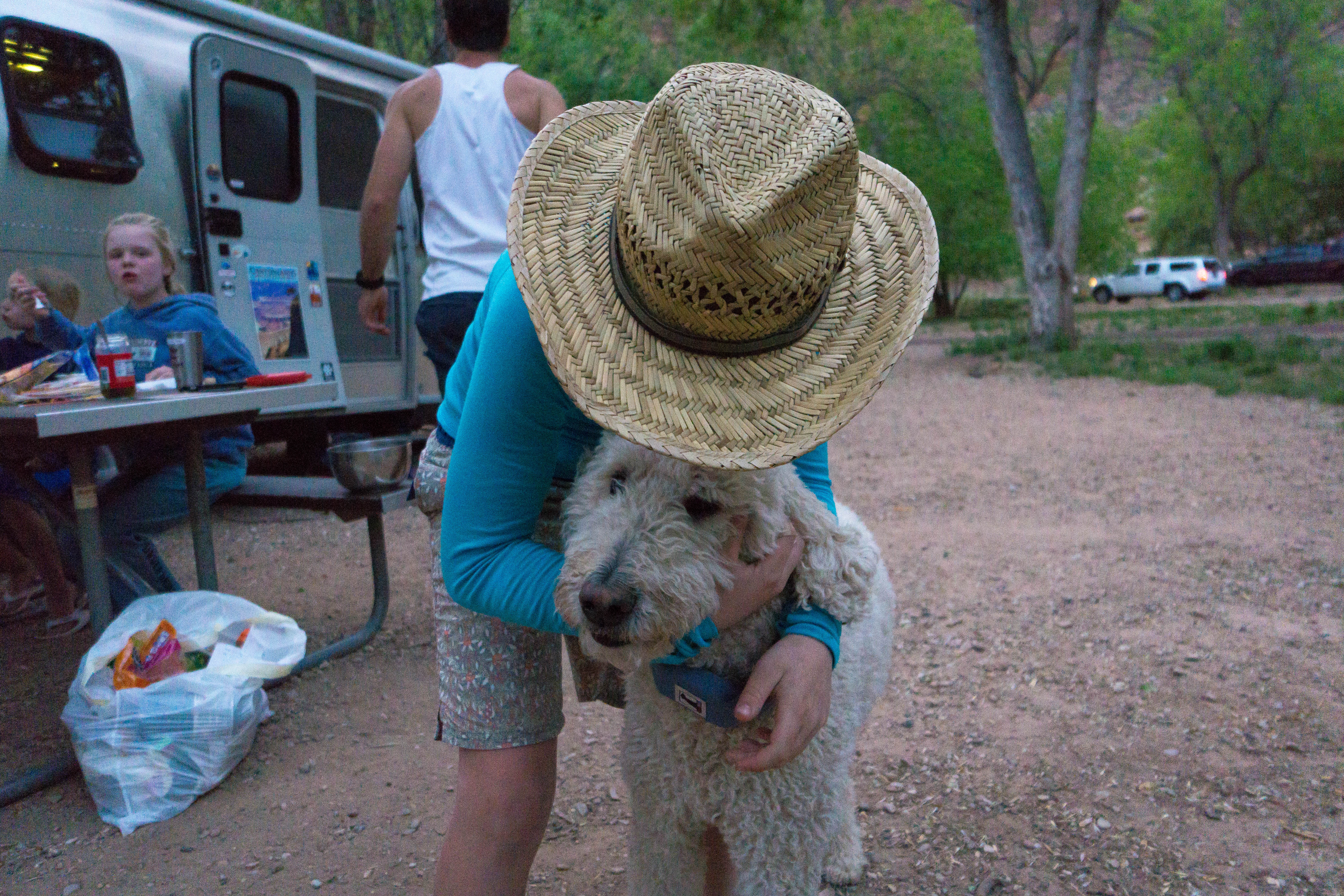 Romping around the American Southwest