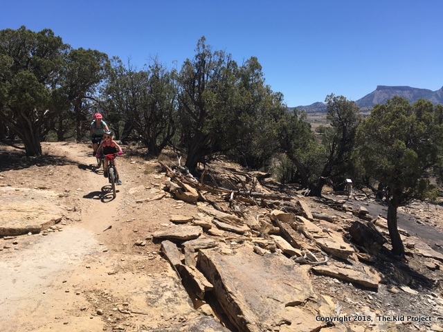 mountain biking near Cortez, CO