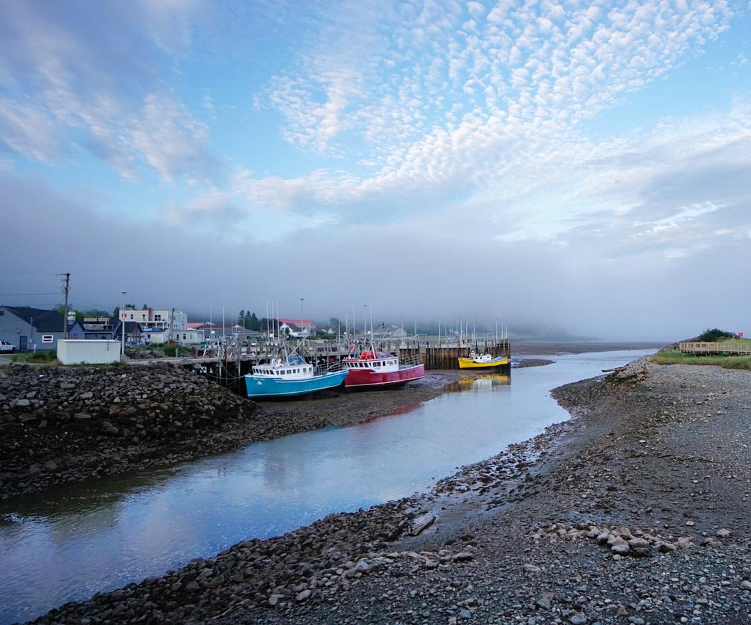 From New York to Nova Scotia: Traveling with a Blank Page