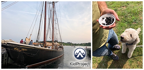 southern shores of Nova Scotia