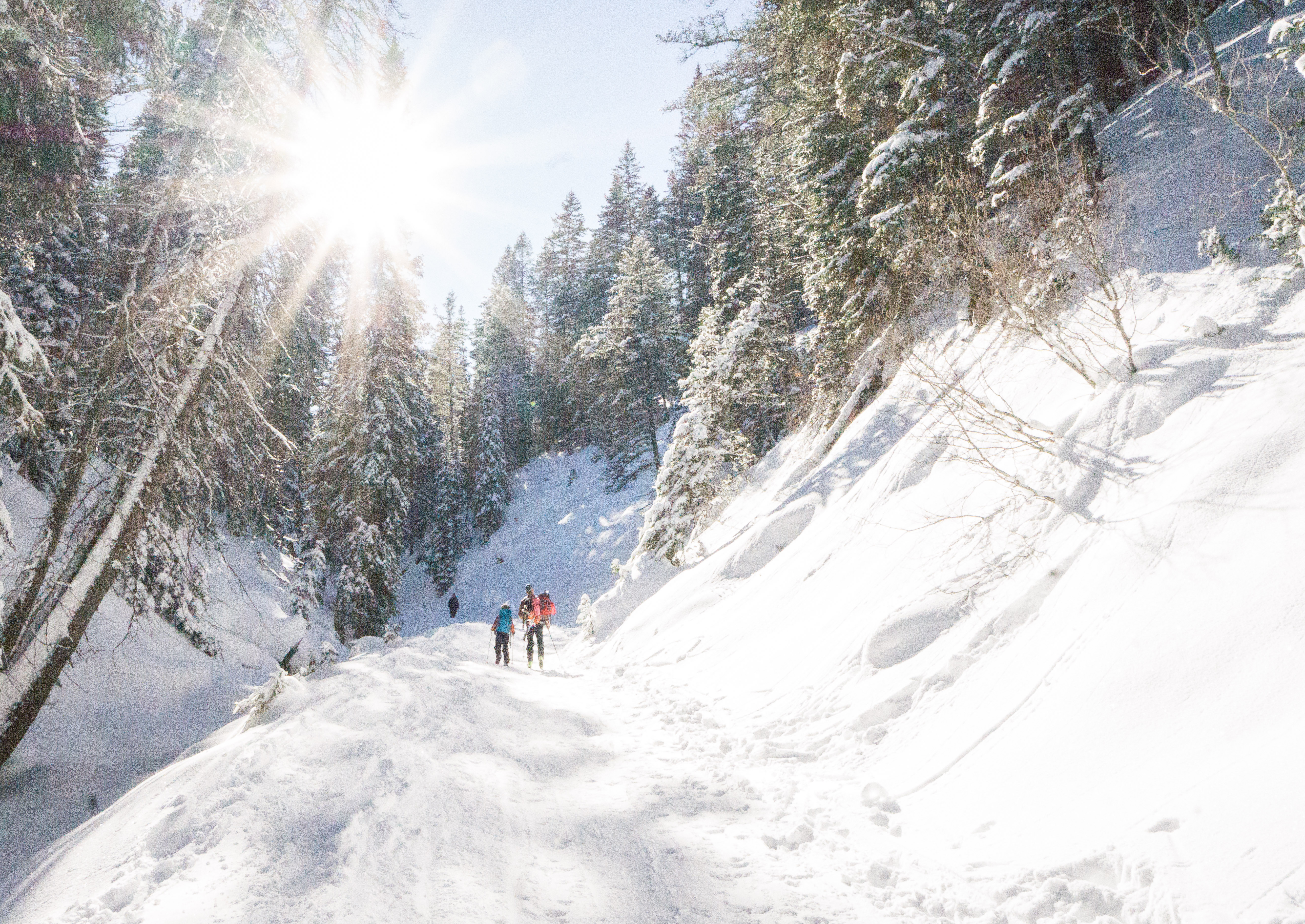 Backcountry Skiing with Kids (Alpine Touring Gear for Kids)